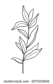 Abstract twig with leaves isolated on a white background. Vector hand-drawn illustration in outline style. Perfect for cards, logo, decorations, invitations. 