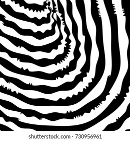 Abstract twisted black and white background. Optical illusion of distorted surface. Twisted rounded stripes. Vector illustration.