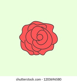 abstract type of carnation flowers color Line Icon