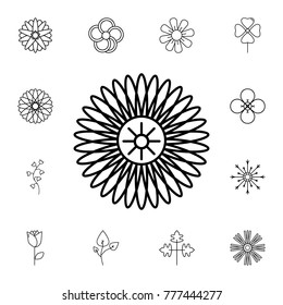 abstract type of flowers Line Icon. Set of beautiful flower icons. Signs, outline eco collection, simple thin line icons for websites, web design, mobile app, info graphics On White Background
