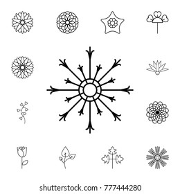 abstract type of flowers Line Icon. Set of beautiful flower icons. Signs, outline eco collection, simple thin line icons for websites, web design, mobile app, info graphics On White Background