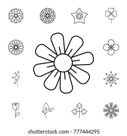 abstract type of flowers Line Icon. Set of beautiful flower icons. Signs, outline eco collection, simple thin line icons for websites, web design, mobile app, info graphics On White Background