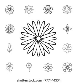 abstract type of flowers Line Icon. Set of beautiful flower icons. Signs, outline eco collection, simple thin line icons for websites, web design, mobile app, info graphics On White Background