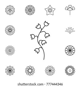 abstract type of flowers Line Icon. Set of beautiful flower icons. Signs, outline eco collection, simple thin line icons for websites, web design, mobile app, info graphics On White Background