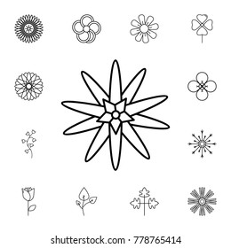 abstract type of flowers Line Icon. Set of beautiful flower icons. Signs, outline eco collection, simple thin line icons for websites, web design, mobile app, info graphics On White Background