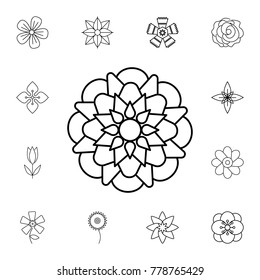 abstract type of flowers Line Icon. Set of beautiful flower icons. Signs, outline eco collection, simple thin line icons for websites, web design, mobile app, info graphics On White Background