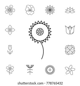 abstract type of flowers Line Icon. Set of beautiful flower icons. Signs, outline eco collection, simple thin line icons for websites, web design, mobile app, info graphics On White Background