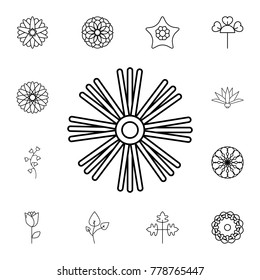 abstract type of flowers Line Icon. Set of beautiful flower icons. Signs, outline eco collection, simple thin line icons for websites, web design, mobile app, info graphics On White Background