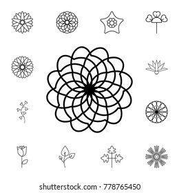 abstract type of flowers Line Icon. Set of beautiful flower icons. Signs, outline eco collection, simple thin line icons for websites, web design, mobile app, info graphics On White Background