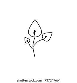 abstract type of leaves Line Icon On White Background