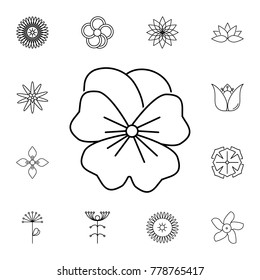 abstract type of lily flowers Line Icon. Set of beautiful flower icons. Signs, outline eco collection, simple thin line icons for websites, web design, mobile app, info graphics On White Background