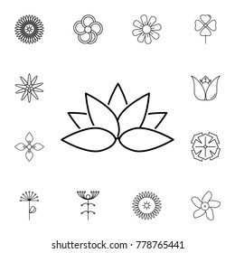 abstract type of lotus flowers Line Icon. Set of beautiful flower icons. Signs, outline eco collection, simple thin line icons for websites, web design, mobile app, info graphics On White Background