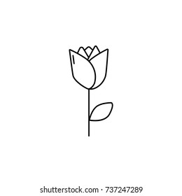 abstract type of rose flowers Line Icon On White Background