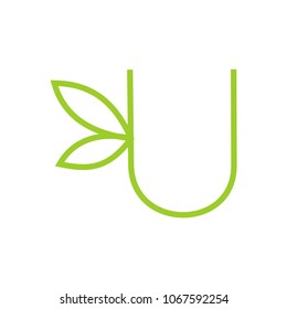 abstract u letter leaf design vector