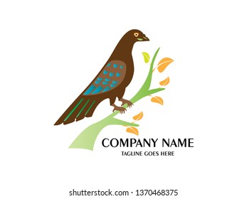 Abstract And Unique dove standing on the tree  vector design template. An exotic bird on white background 
