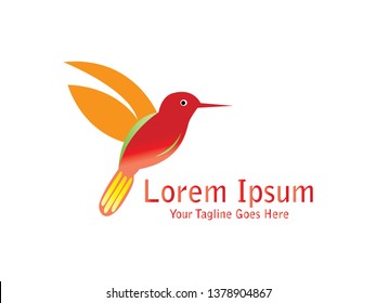 Abstract And Unique Hummingbird vector design template. An exotic bird on white background 