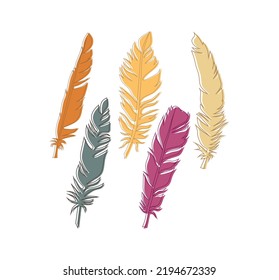 Abstract various colorful isolated feather.