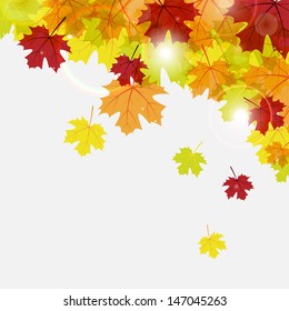 abstract vector autumn background with maple leaves and patches of sunlight 