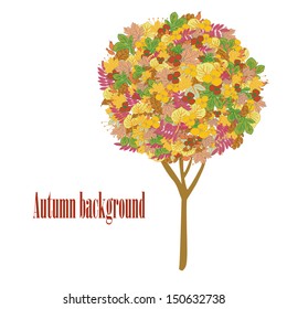abstract vector autumn tree,Isolated On white Background with place for text 
