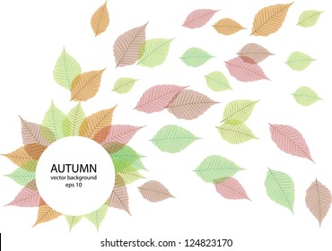 abstract vector backdrop design with color seasonal leaves and round frame for your text isolated on white background