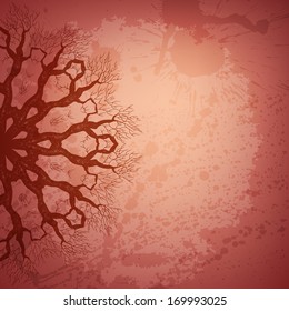 Abstract vector background. Beautiful lace arabesque