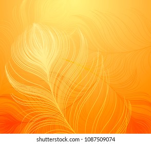 Abstract vector background with colorful peacock feathers