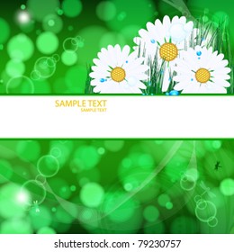 abstract vector background with daisies and grass and drops.
