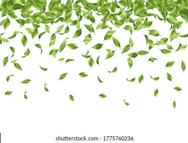 Abstract vector background with falling green leaves
