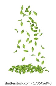 Abstract vector background with falling green leaves. Flying green summer foliage on white background