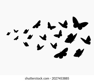 Resumen de fondo vectorial con siluetas de mariposas voladoras. Una bandada de mariposas negras aisladas en un fondo blanco.