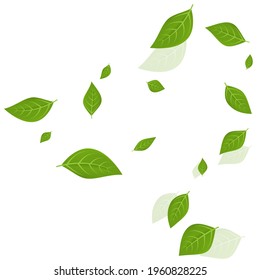 Abstract vector background with green leaves flying in the wind. Spring illustration with fresh foliage. 