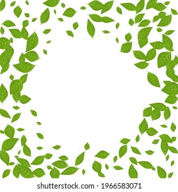 Abstract vector background with green leaves flying in the wind. Spring illustration with fresh foliage. 