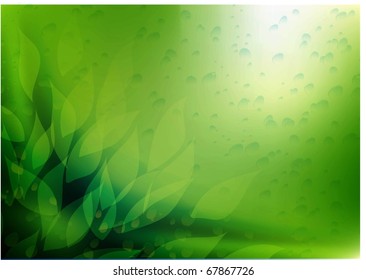 abstract vector background with leafs and water drops