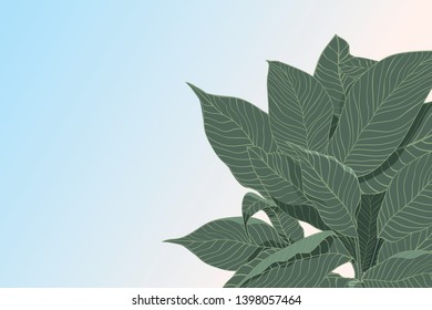 abstract vector background with sketch of green leafs isolated on pastel background , flat lay. nature concept