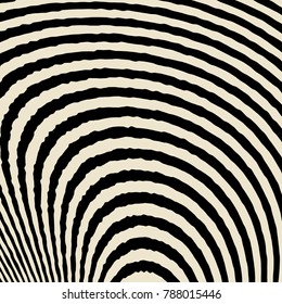 Abstract Vector Background of Waves,  Optical Illusion, Black and White Line Art, Wave Icon, Optical Art Background, Wave Design, Abstract Lines, Modern Striped Background