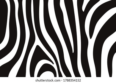 Abstract vector background with white and black zebra's stripes.