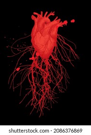 Abstract Vector Banner With A Red Human Heart, Blood Vessels And Veins On A Black. Hand-drawn Illustration On A Theme Of Anatomy, Art, Love. Suitable For Poster, Tattoo, T-shirt Design, Valentine Card