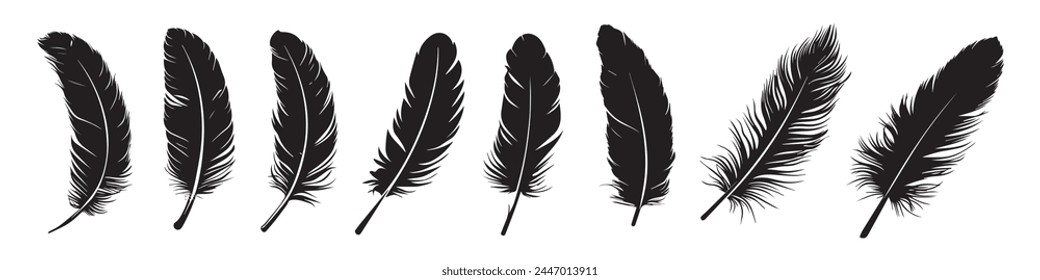Abstract Vector Bird Feather Icons 
 Pack Design Template