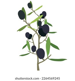 Abstract vector  black and green leaves olive tree. Mediterranean food isolated on white background.