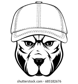 Abstract vector black and white illustration portrait of fighting dogs. Head of dog breed pit bull in cap. 