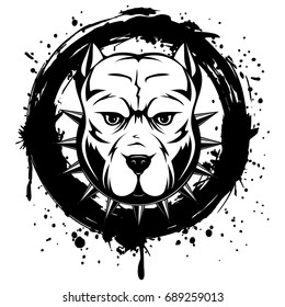 Abstract vector black and white illustration portrait of fighting dogs in grunge frame. Head of dog breed pit bull in collar with spikes. 