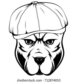 Abstract vector black and white illustration portrait of fighting dogs. Head of dog breed pit bull in cap. 