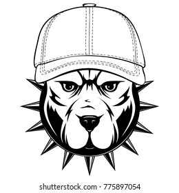 Abstract vector black and white illustration portrait of fighting dogs. Head of dog breed pit bull in cap and collar with spikes. 