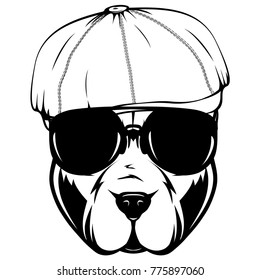Abstract vector black and white illustration portrait of fighting dogs in cap. Head of dog breed pit bull in sunglasses. 