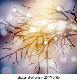 Abstract vector blurred Christmas lights bokeh background with a silhouette of an evening branch for design Christmas holiday