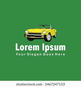 abstract vector car logo color full
