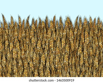 abstract vector cartoon doodle wheat background