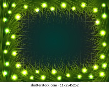 Abstract vector Christmas lights with spruce branch background, EPS10
