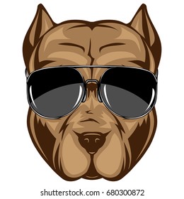 Abstract vector color illustration portrait of fighting dogs. Head of dog breed pit bull in sunglasses.