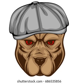 Abstract vector color illustration portrait of fighting dogs. Head of dog breed pit bull in caps. 